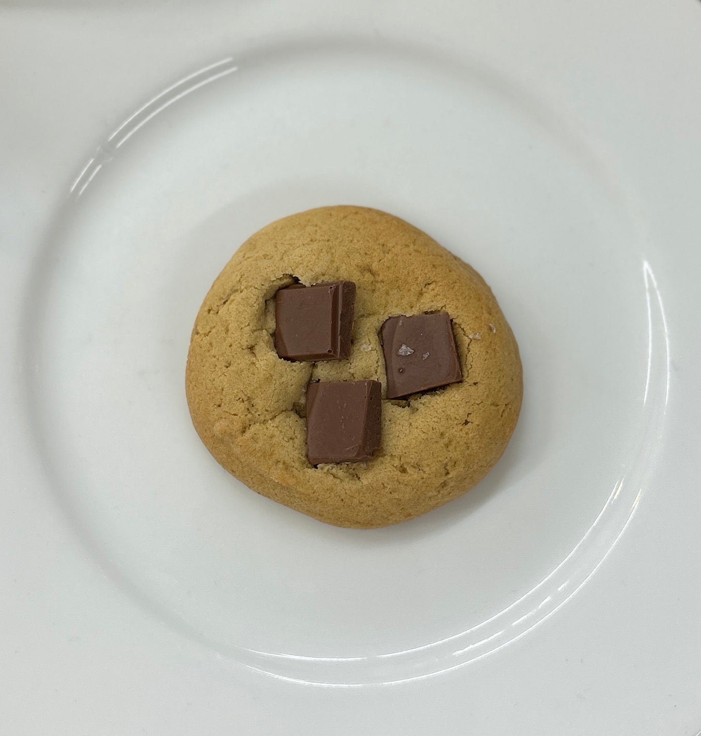 SHEBERY × Yoko’s Cookies プレミアムクッキー